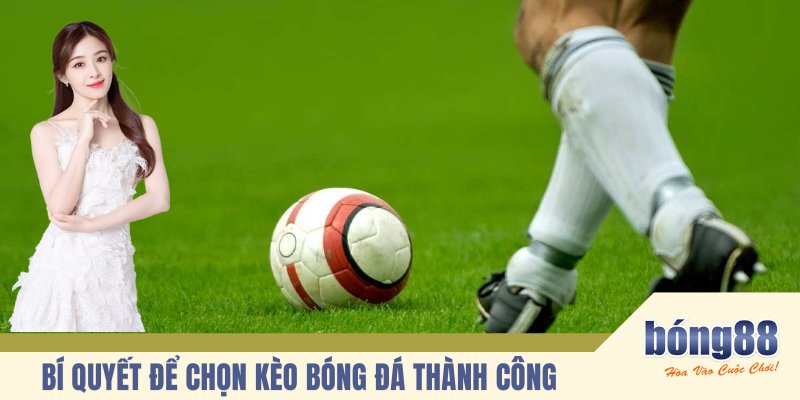  Bí quyết để chọn kèo bóng đá thành công là gì?