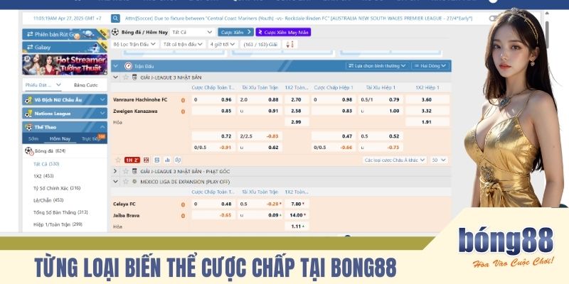 Từng loại biến thể cược chấp tại BONG88