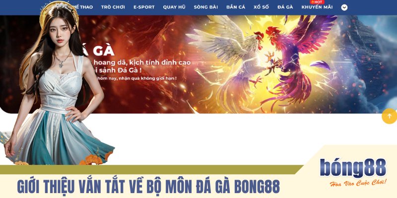 Giới thiệu vắn tắt về bộ môn đá gà BONG88 